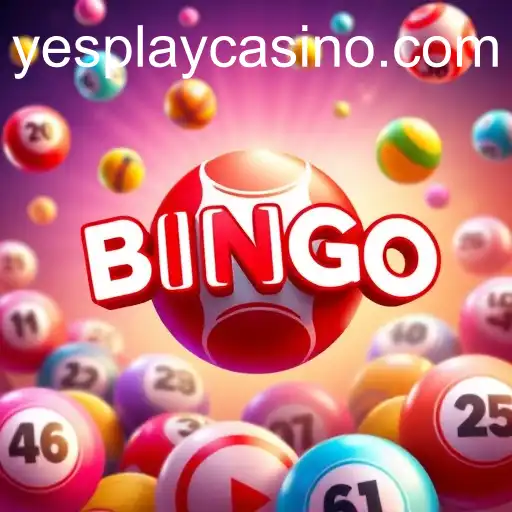 Exploring Bingo Games with YesPlay